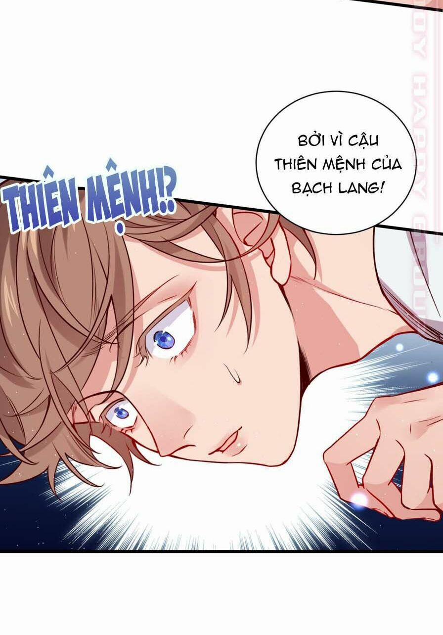 Lang Quân, Xin Đừng…! 59 trang 17