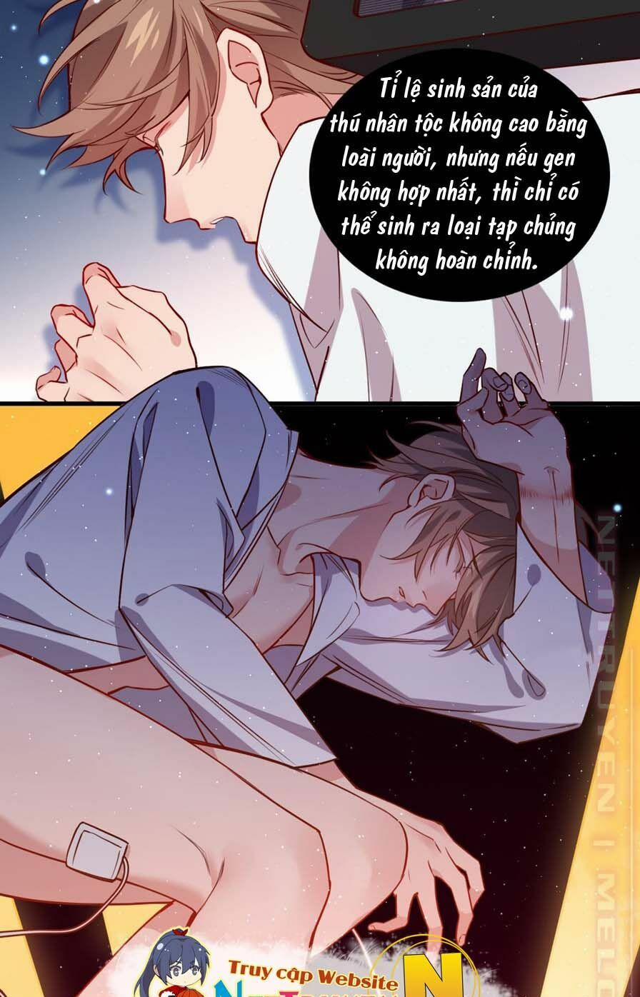 Lang Quân, Xin Đừng…! 59 trang 20