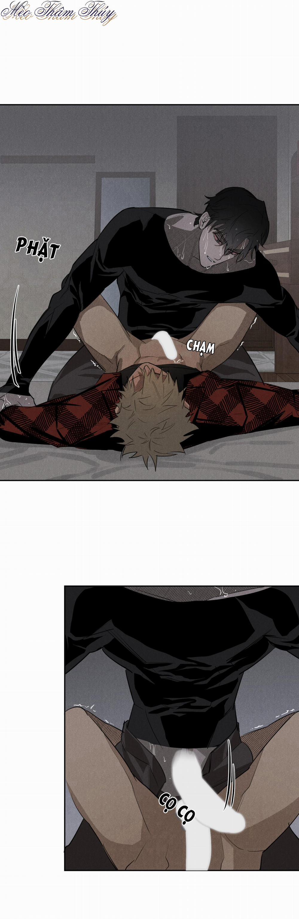 Lãng Quên 5 trang 13