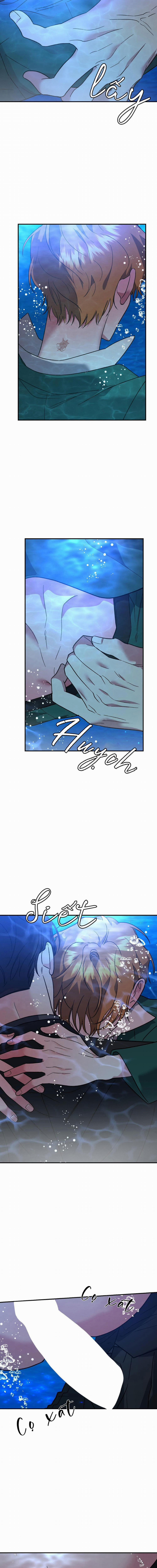 Lãnh Địa Của Dã Thú 12 trang 8