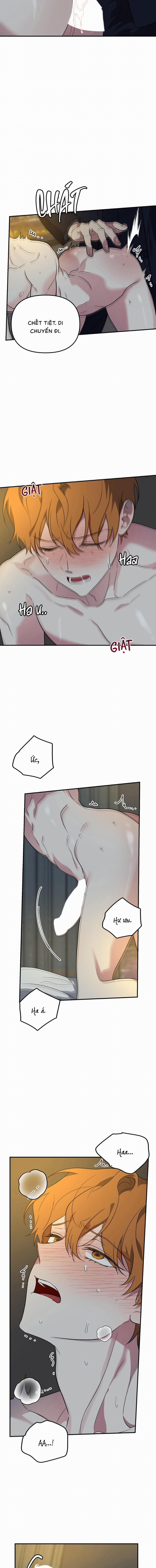 Lãnh Địa Của Dã Thú 21 trang 5