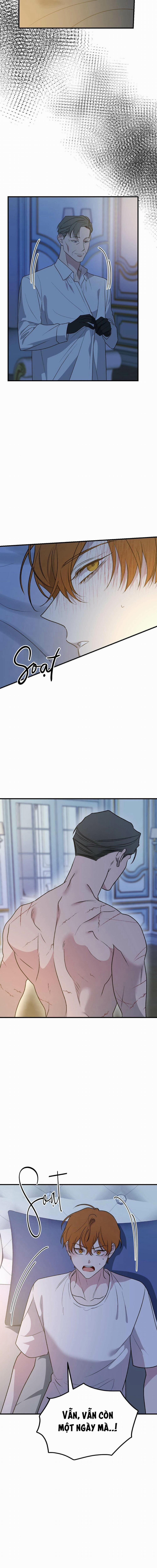Lãnh Địa Của Dã Thú 28 trang 11