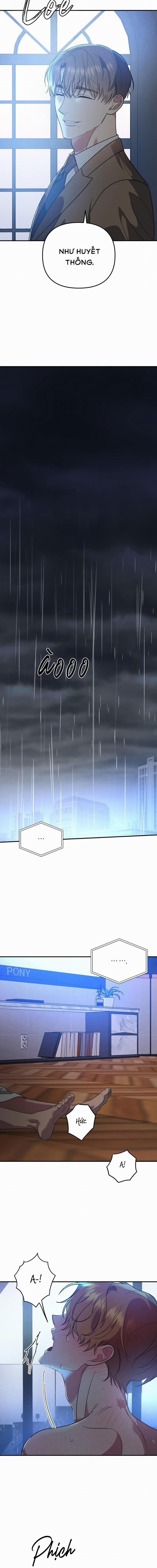 Lãnh Địa Của Dã Thú 6 trang 11