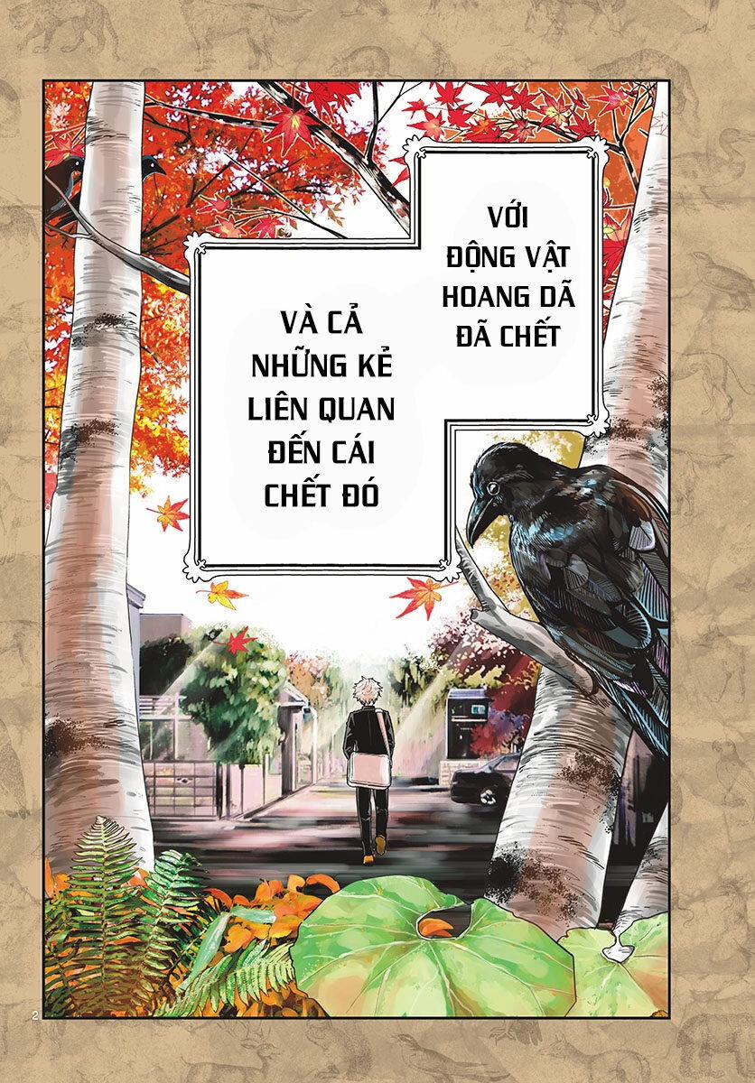 Last Karte 1 trang 2