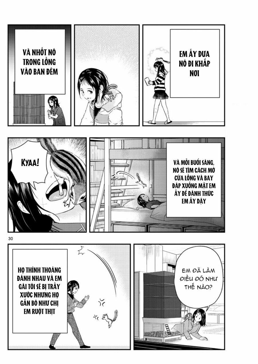 Last Karte 3.5 trang 11