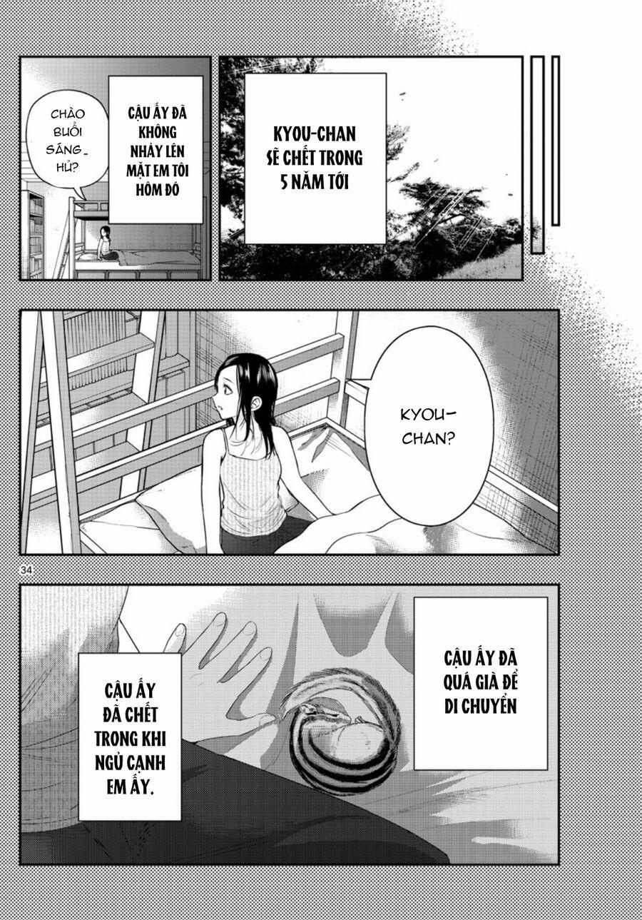 Last Karte 3.5 trang 15