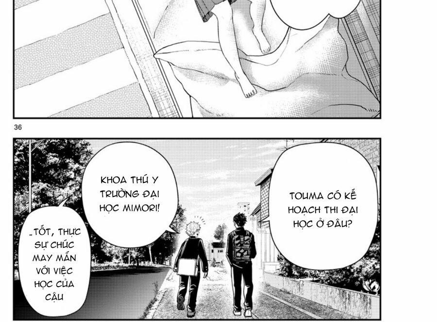 Last Karte 3.5 trang 17