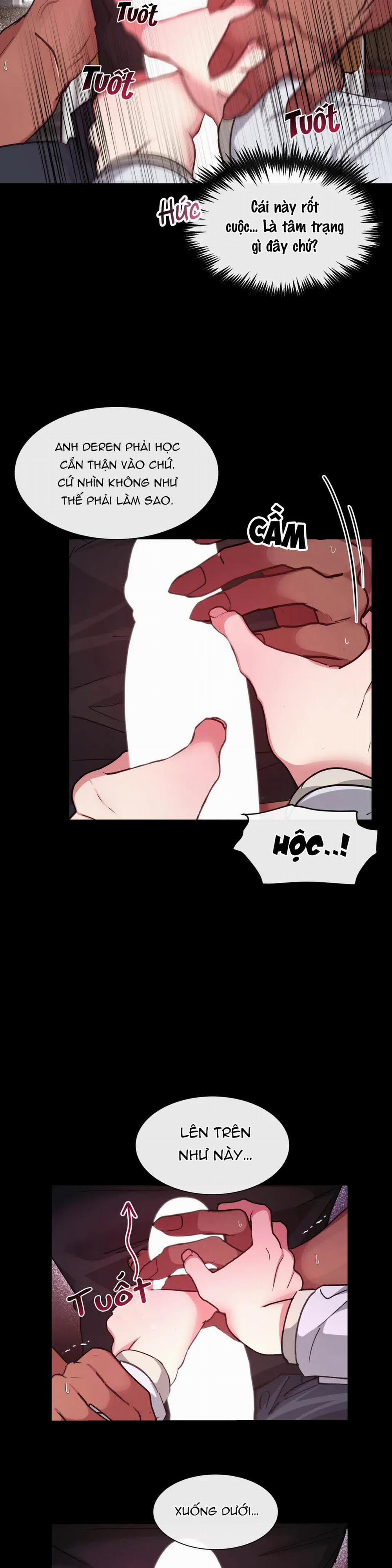 Lâu Đài Tình Ái 13 trang 11