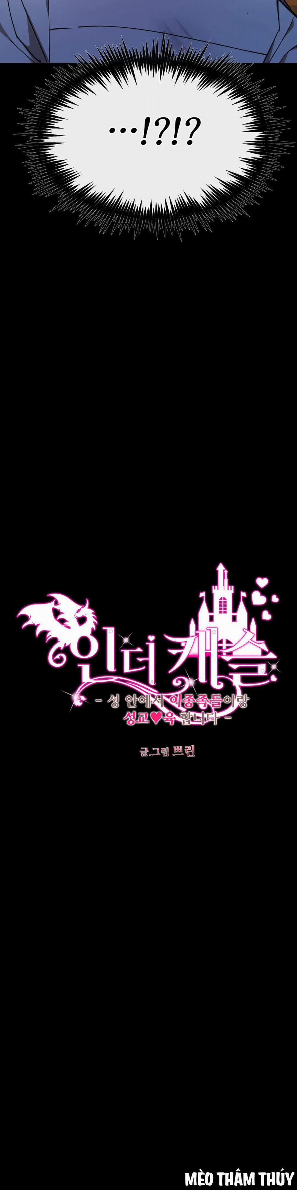 Lâu Đài Tình Ái 13 trang 7