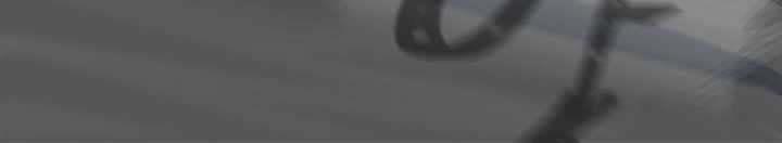 Level 1 Player 39 trang 117