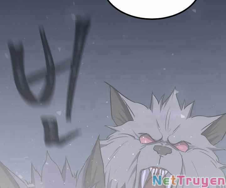 Level 1 Player 39 trang 217