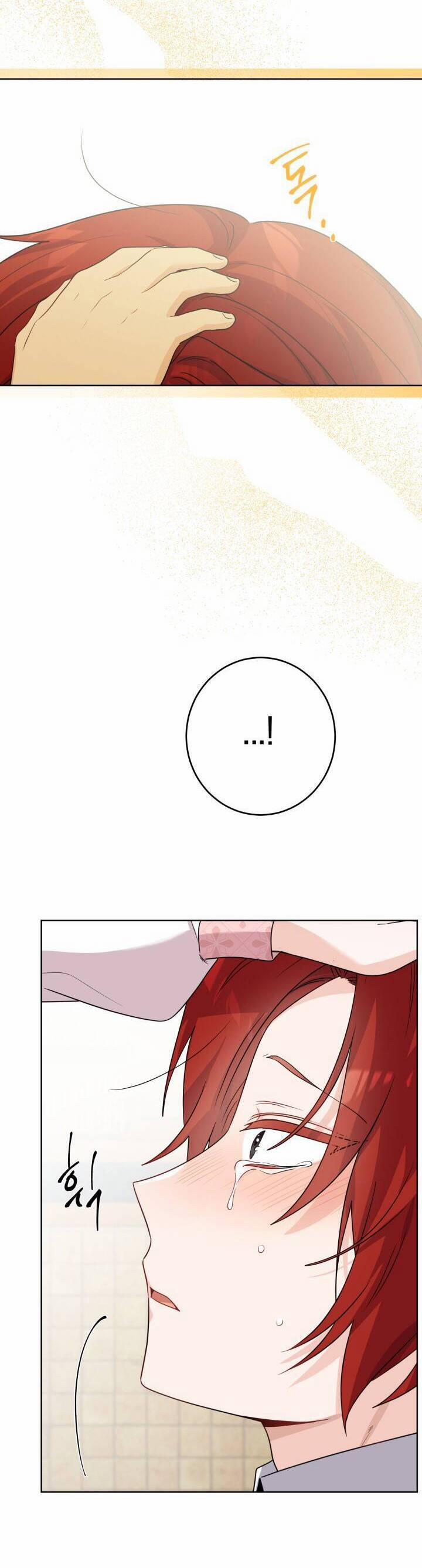 Lịch Sử Đen Tối Của Nam Chính 25 trang 13