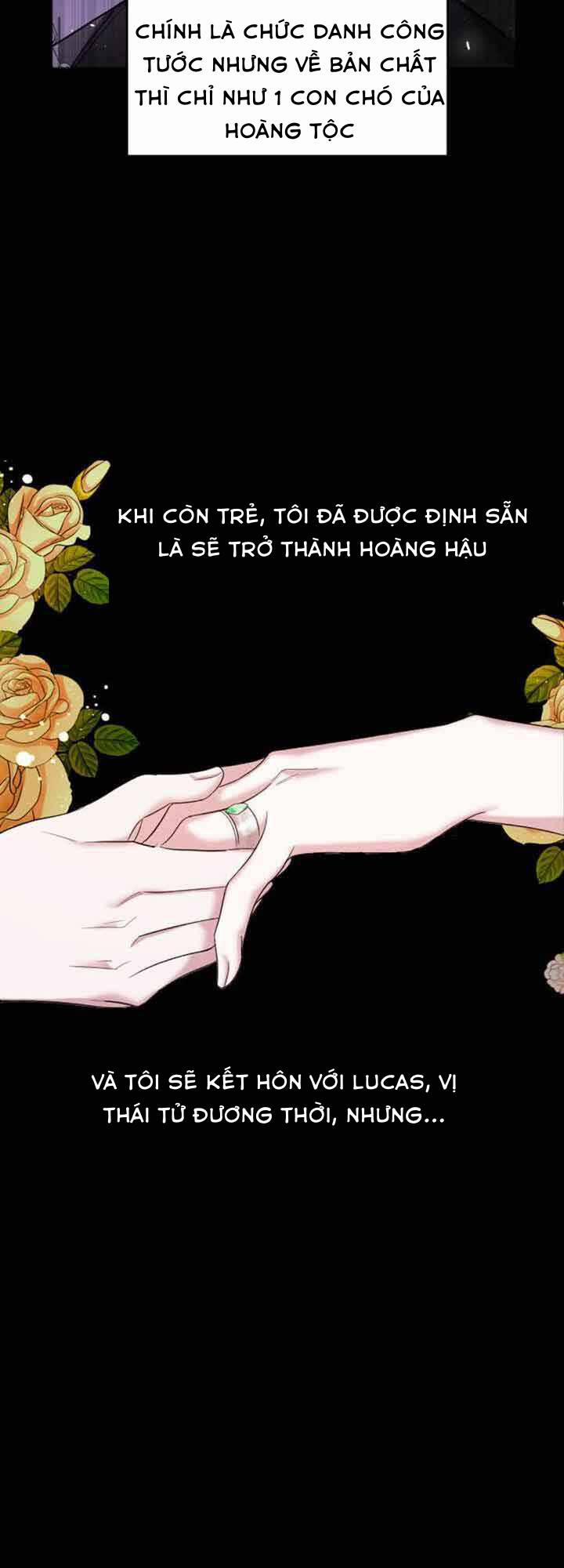 Liên Hôn Phục Thù 1 trang 27