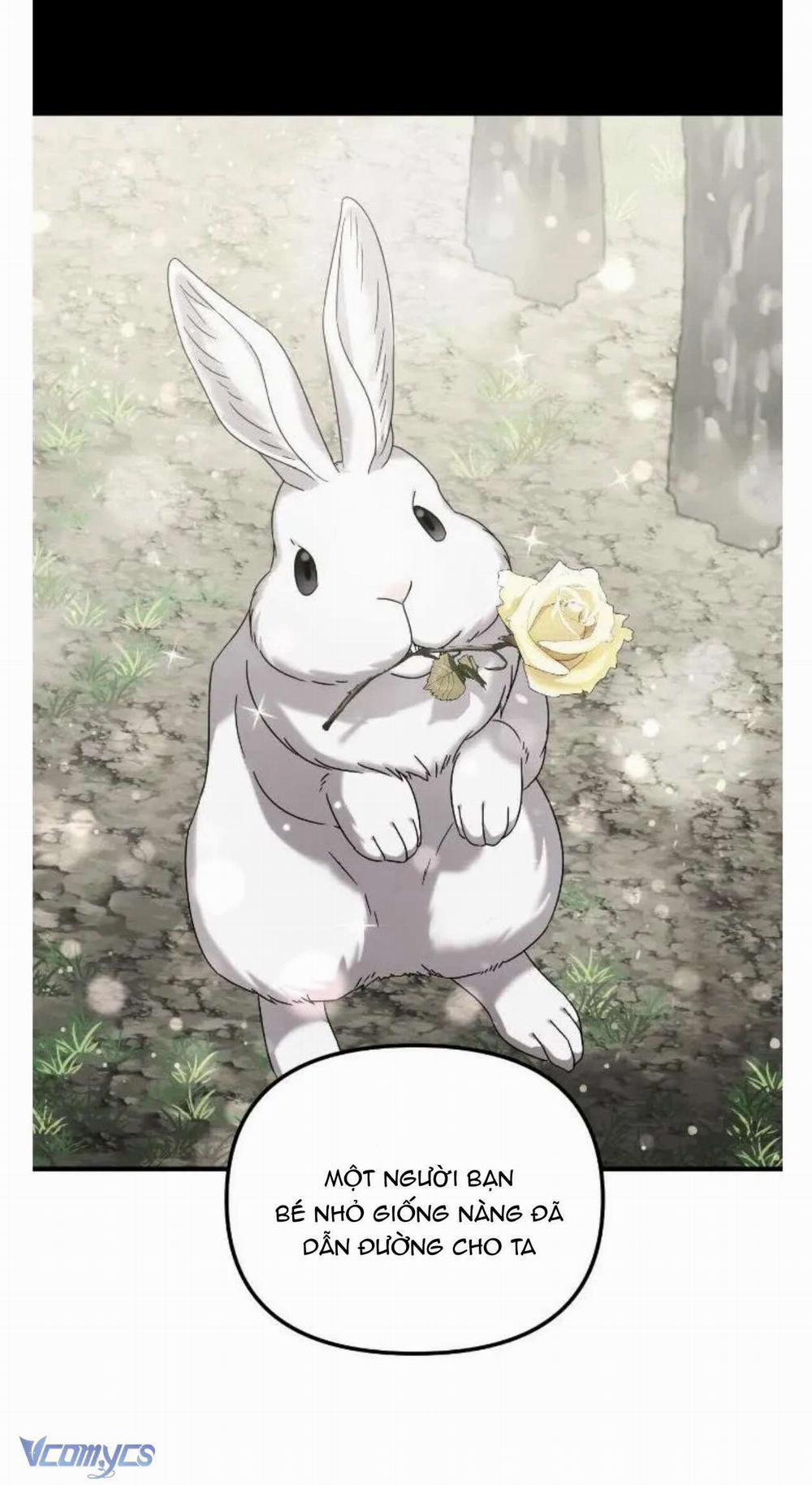 Liên Hôn Phục Thù 39 trang 44