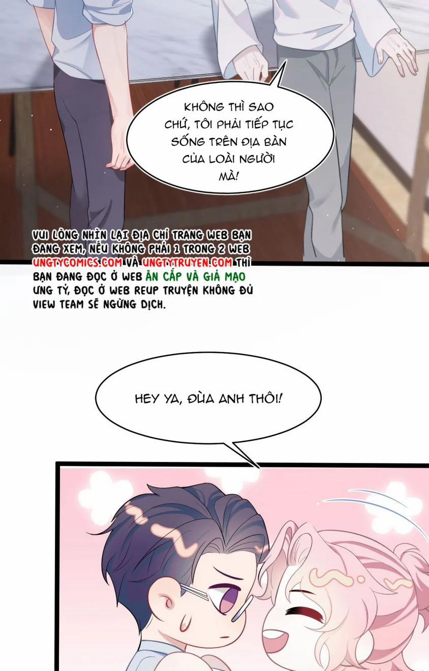 Liệp Tâm Luyến Nhân 43 trang 13