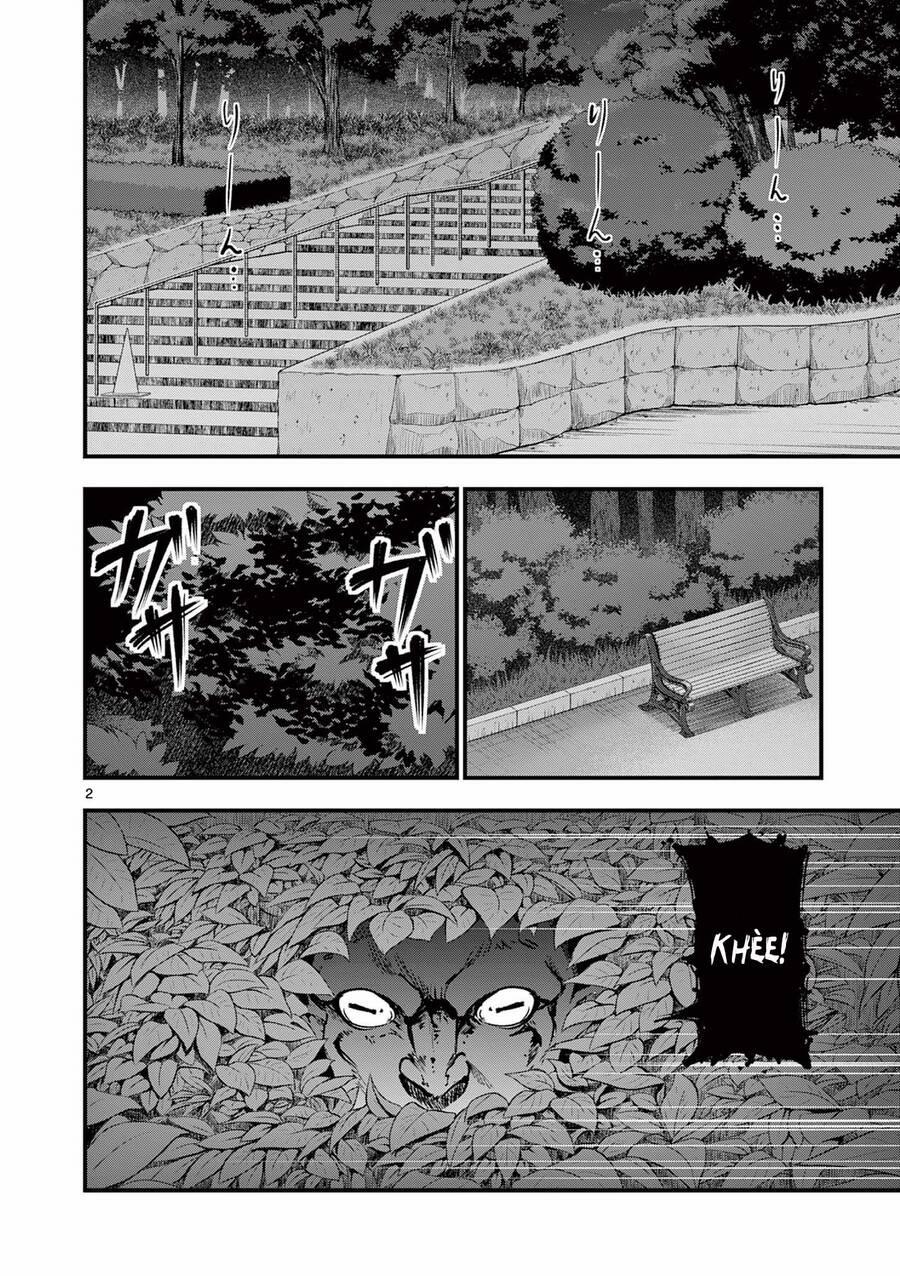 Lilia Mang Thai 13 trang 5