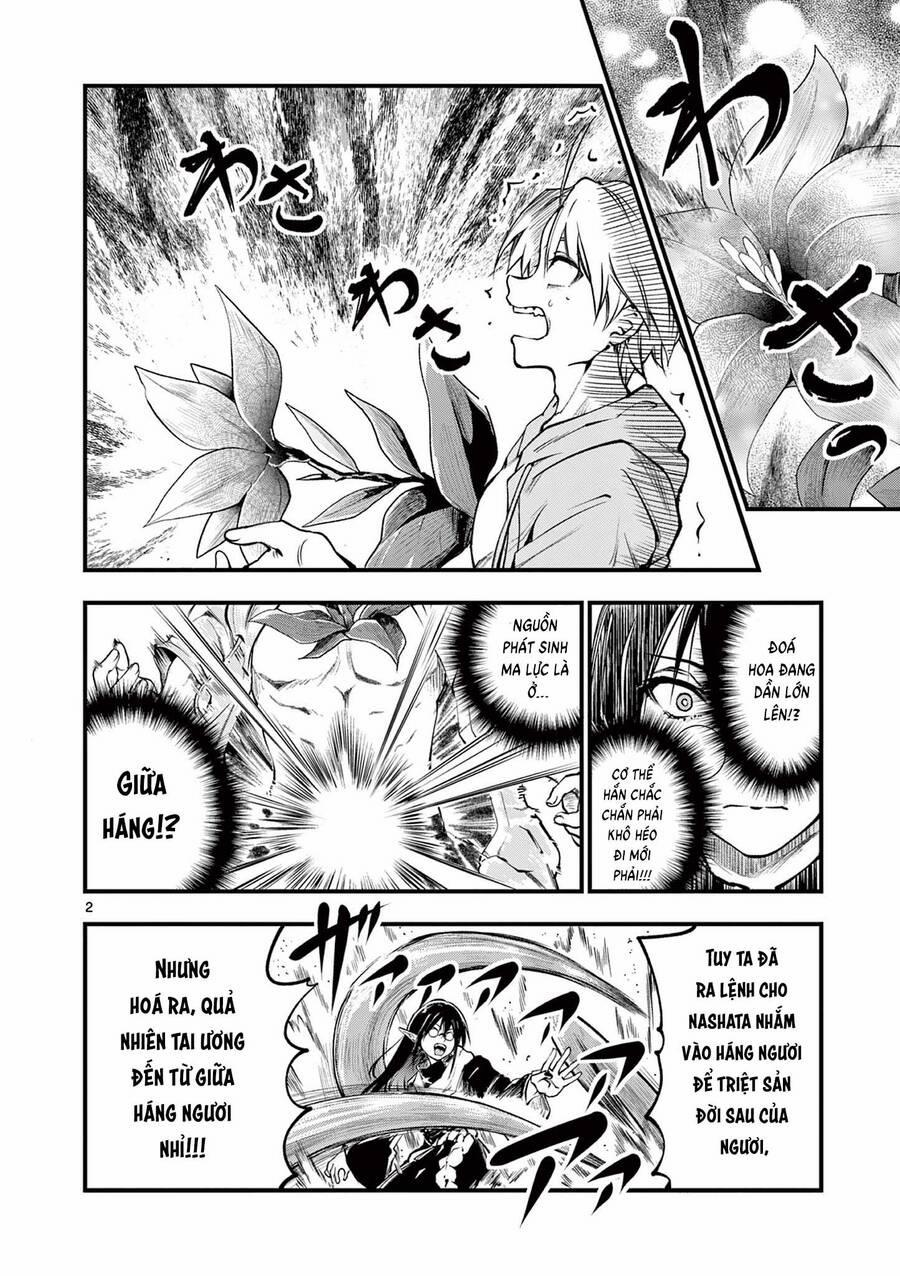 Lilia Mang Thai 16 trang 2