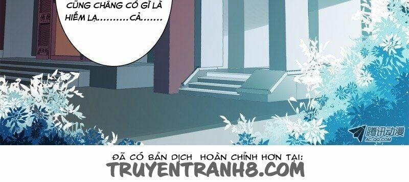 Linh Khế 19 trang 1