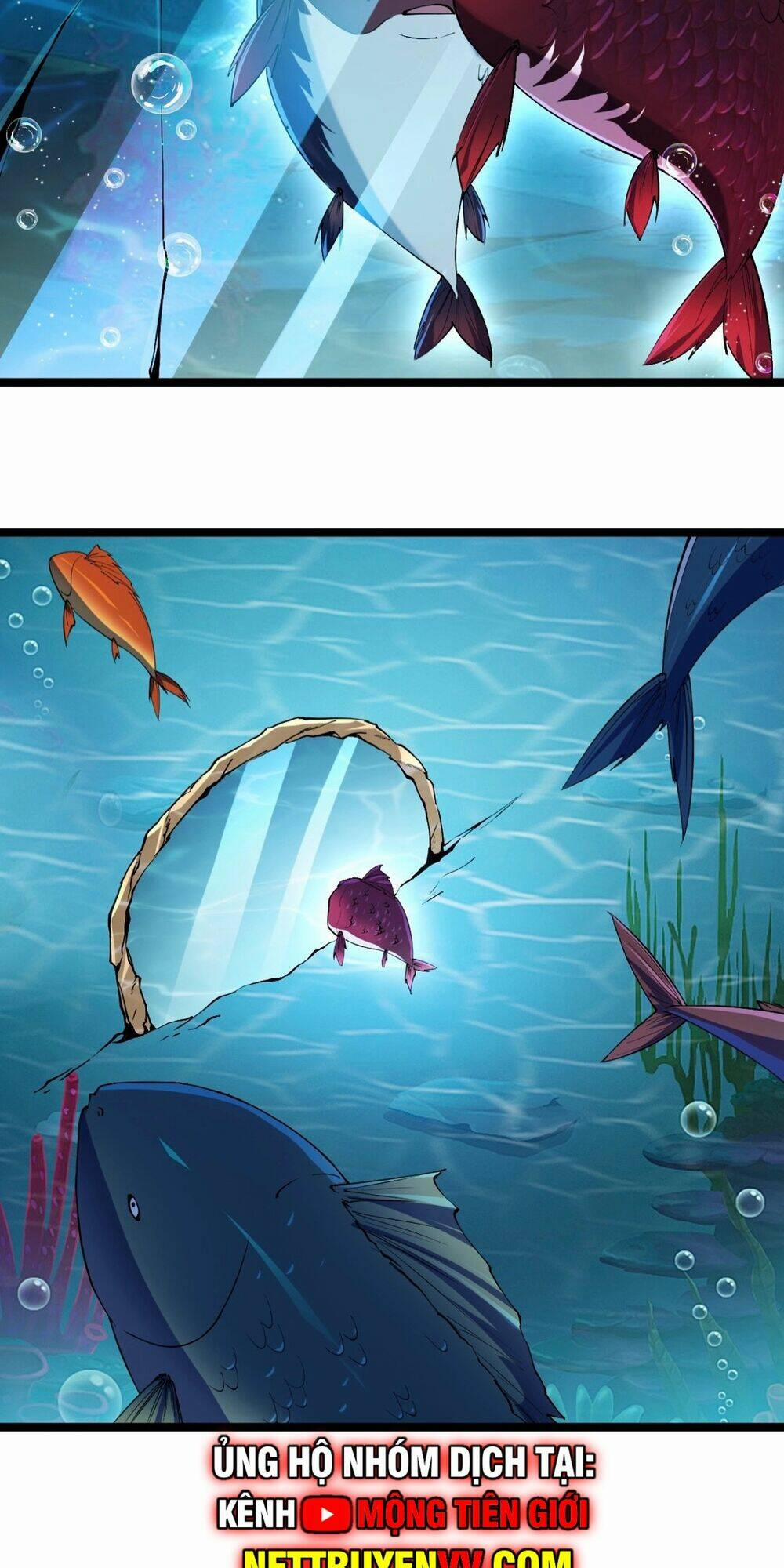 Linh Khí Khôi Phục: Từ Cá Chép Tiến Hoá Thành Thần Long 1 trang 38