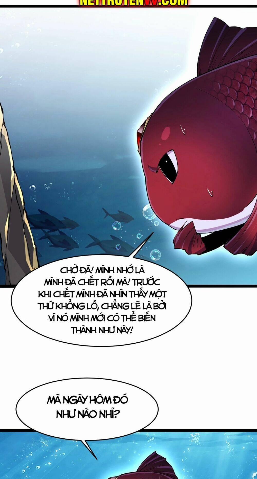 Linh Khí Khôi Phục: Từ Cá Chép Tiến Hoá Thành Thần Long 1 trang 39