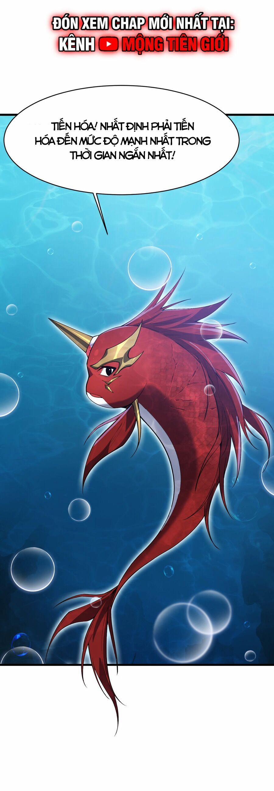 Linh Khí Khôi Phục: Từ Cá Chép Tiến Hoá Thành Thần Long 14 trang 8