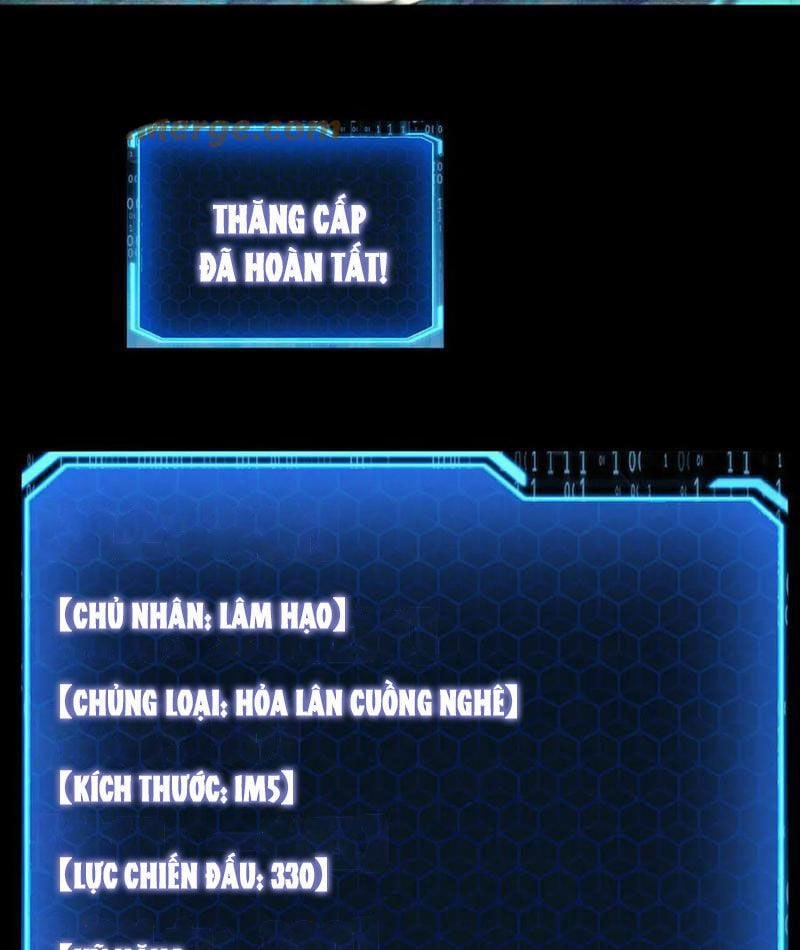 Linh Khí Khôi Phục: Từ Cá Chép Tiến Hoá Thành Thần Long 25 trang 35