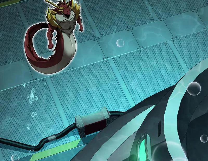 Linh Khí Khôi Phục: Từ Cá Chép Tiến Hoá Thành Thần Long 34 trang 99