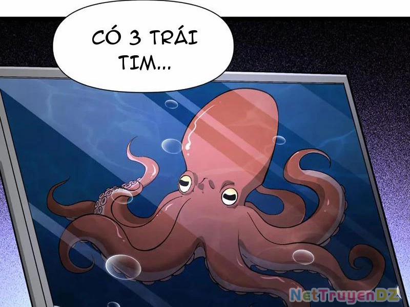 Linh Khí Khôi Phục: Từ Cá Chép Tiến Hoá Thành Thần Long 37 trang 2