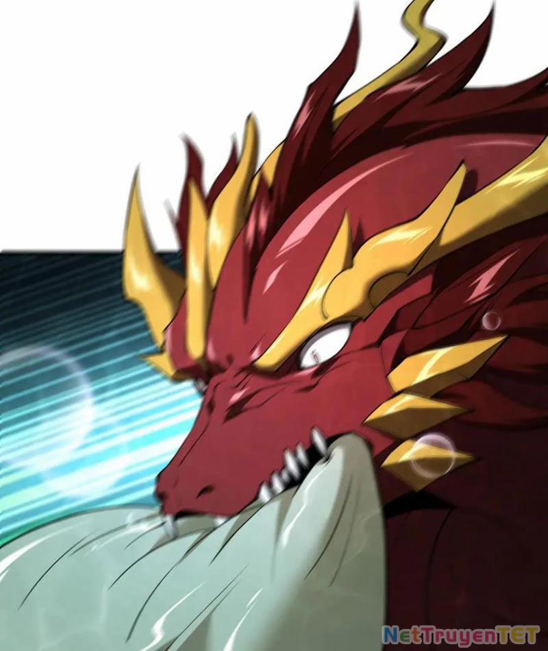 Linh Khí Khôi Phục: Từ Cá Chép Tiến Hoá Thành Thần Long 40 trang 12