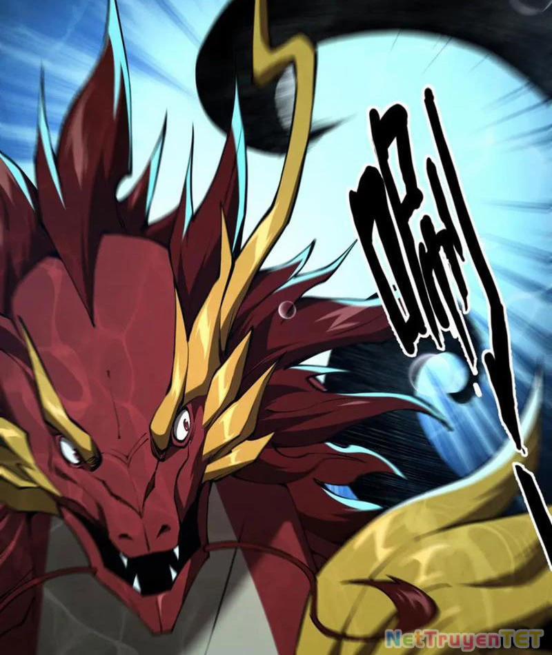 Linh Khí Khôi Phục: Từ Cá Chép Tiến Hoá Thành Thần Long 40 trang 17