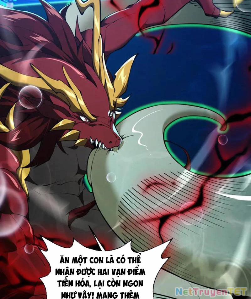 Linh Khí Khôi Phục: Từ Cá Chép Tiến Hoá Thành Thần Long 40 trang 19