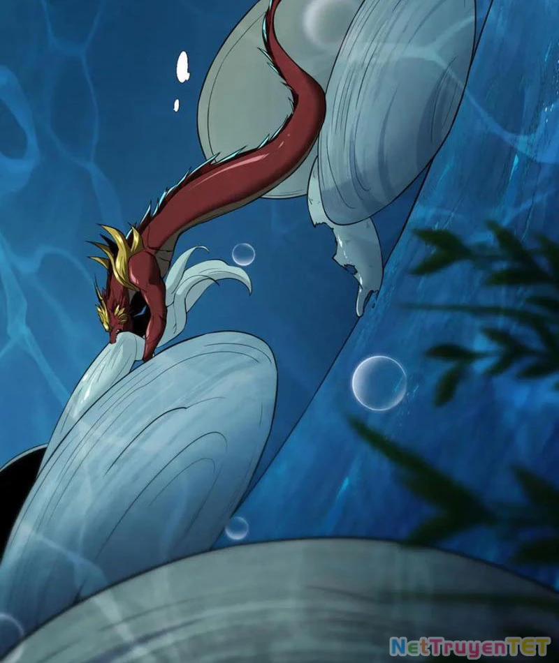 Linh Khí Khôi Phục: Từ Cá Chép Tiến Hoá Thành Thần Long 40 trang 23