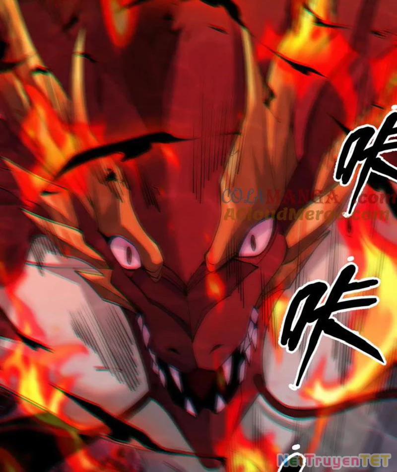 Linh Khí Khôi Phục: Từ Cá Chép Tiến Hoá Thành Thần Long 40 trang 5