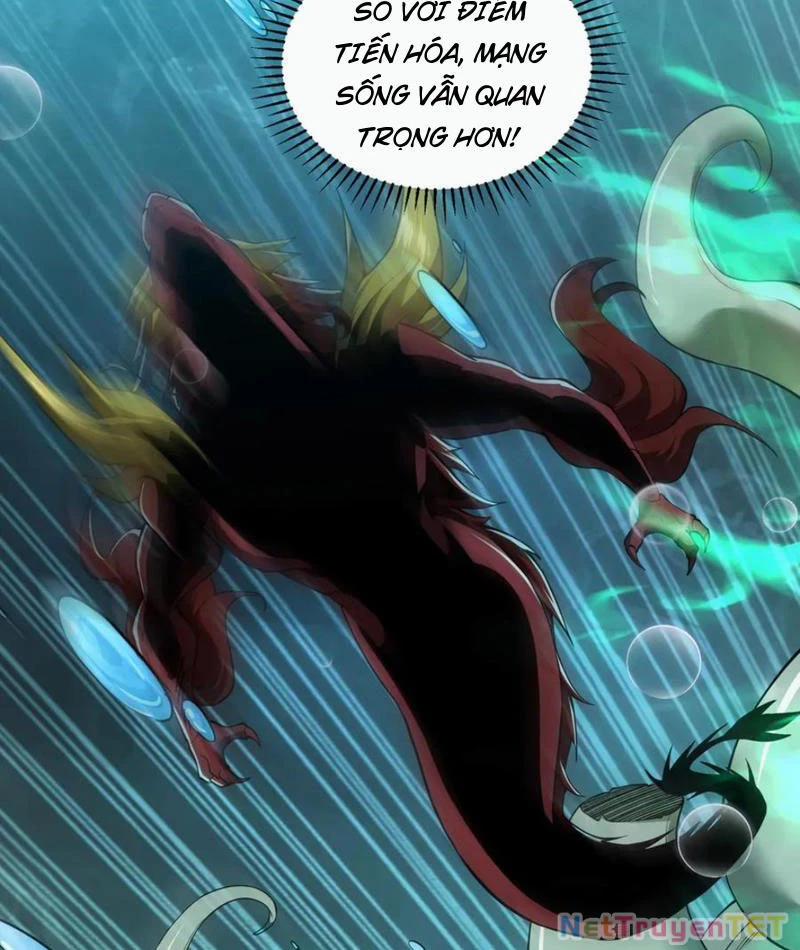 Linh Khí Khôi Phục: Từ Cá Chép Tiến Hoá Thành Thần Long 40 trang 51