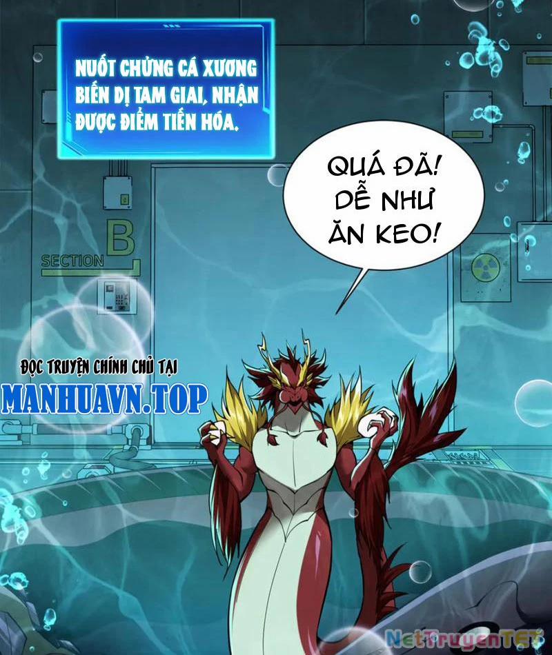 Linh Khí Khôi Phục: Từ Cá Chép Tiến Hoá Thành Thần Long 40 trang 91