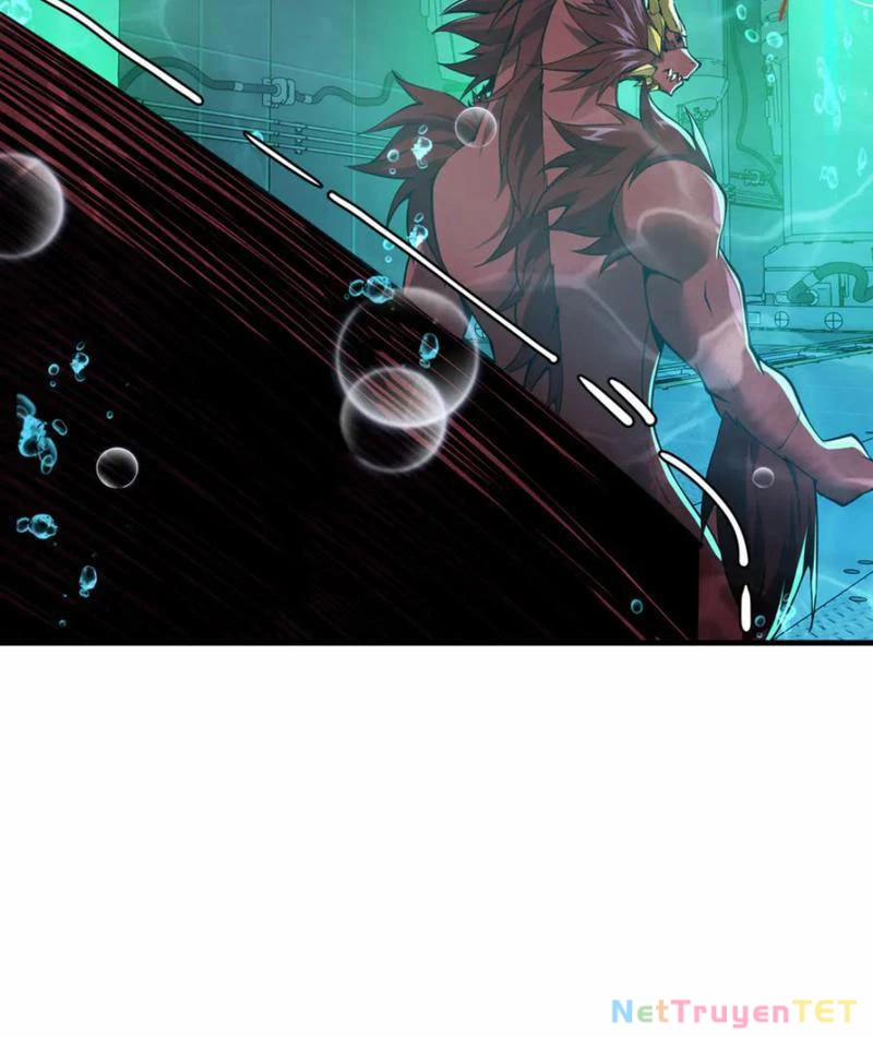 Linh Khí Khôi Phục: Từ Cá Chép Tiến Hoá Thành Thần Long 40 trang 97