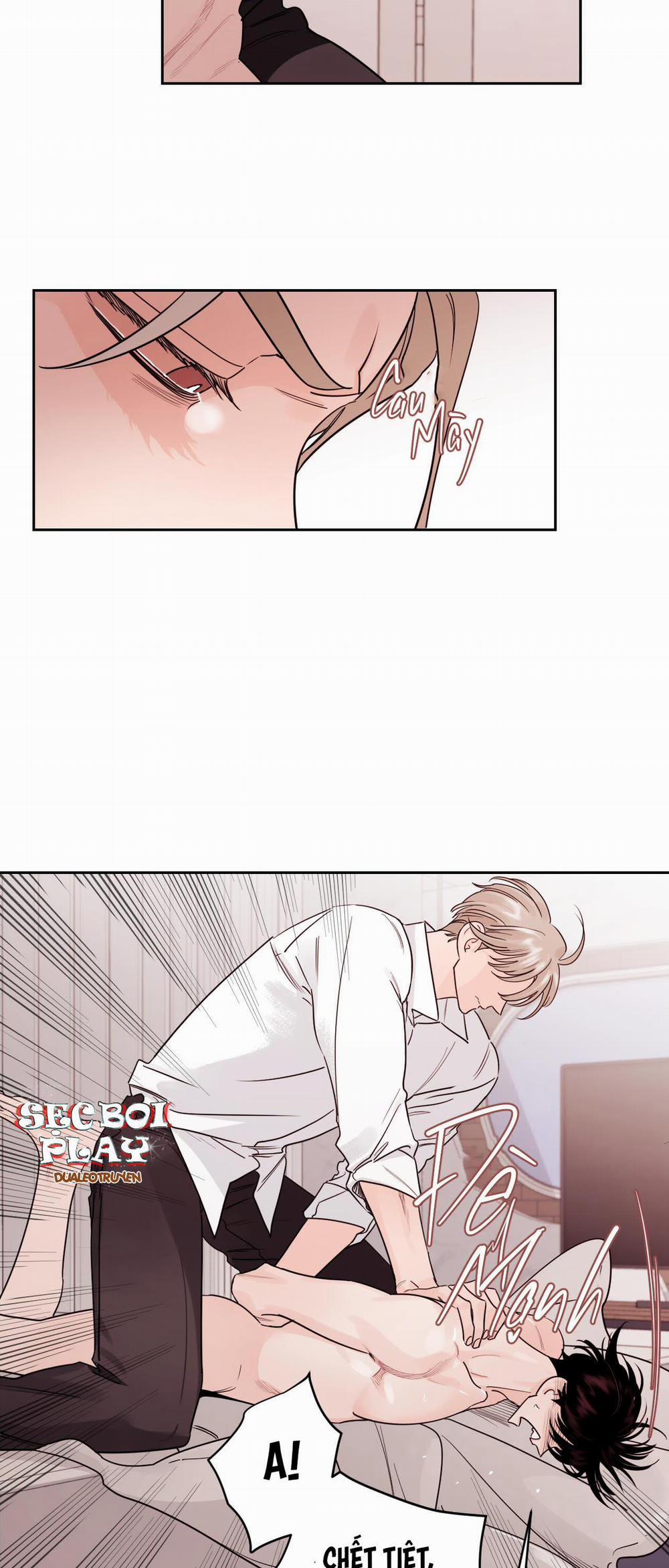 Lĩnh Vực Bóng Tối 12 trang 13