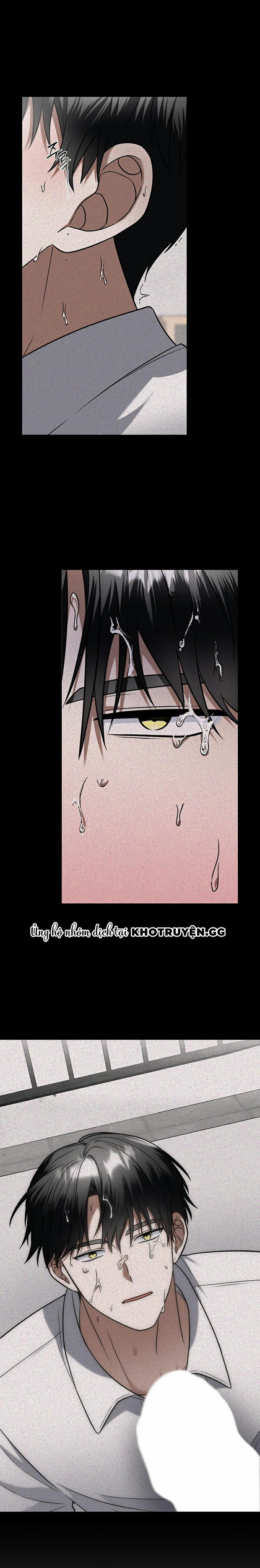 Live: Khách Mời 4 trang 5