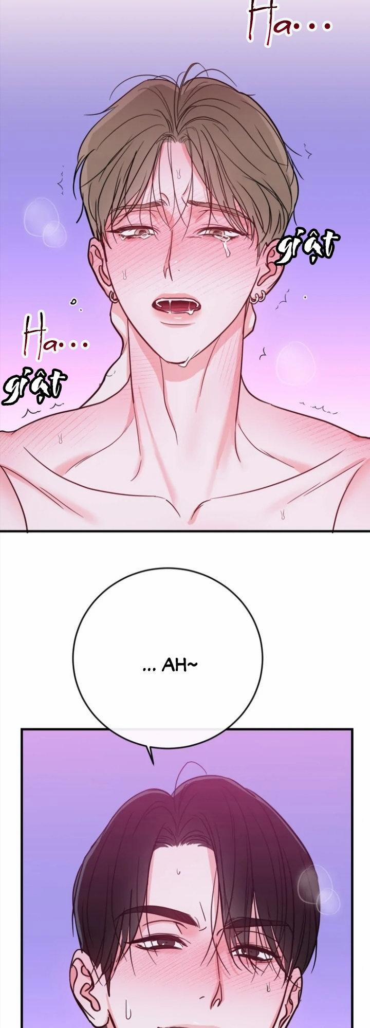 LIVE STREAM LÀM TÌNH 3 END trang 30