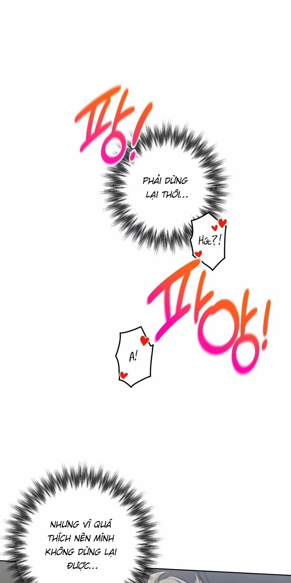 Liveta 61 trang 33