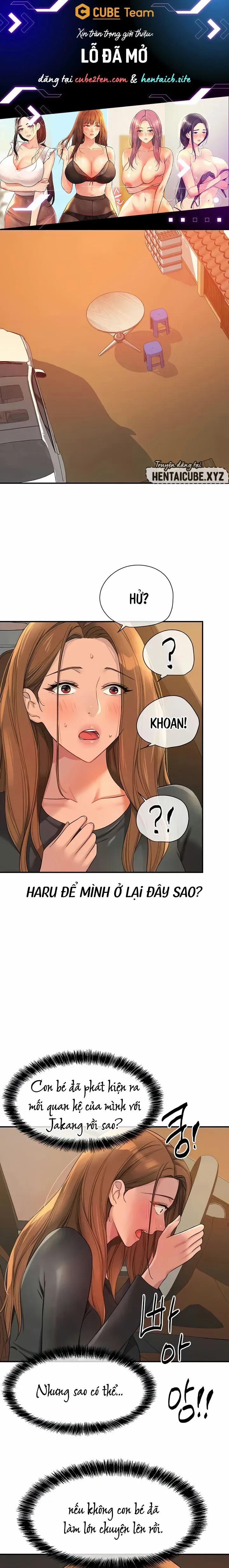 Lỗ đã mở 103 trang 1