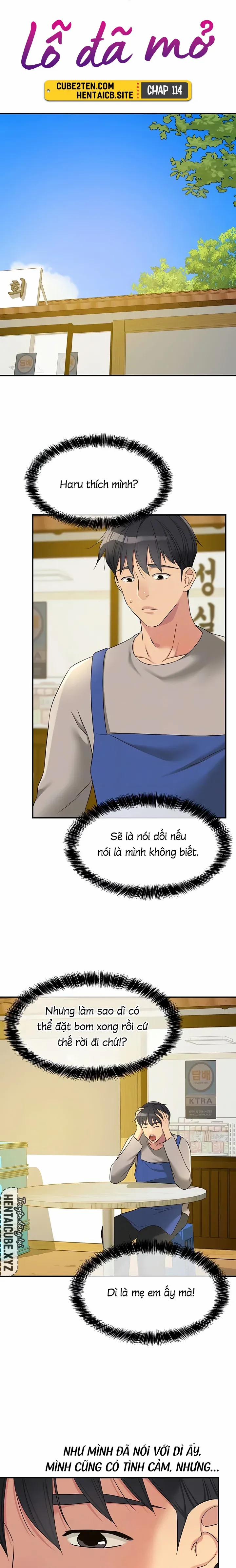 Lỗ đã mở 114 trang 4