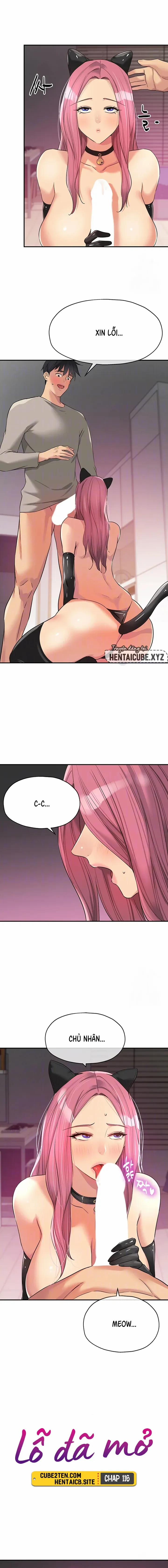 Lỗ đã mở 116 trang 2