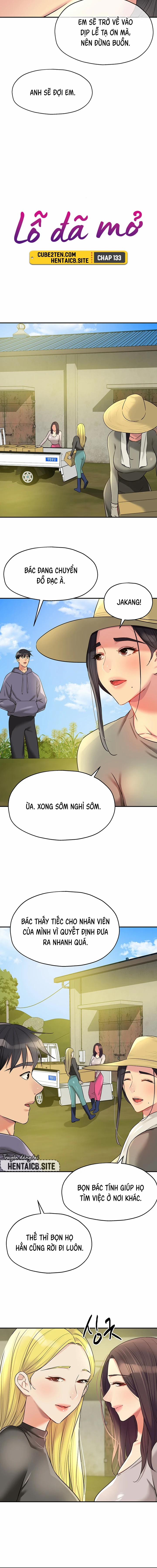 Lỗ đã mở 133 trang 8