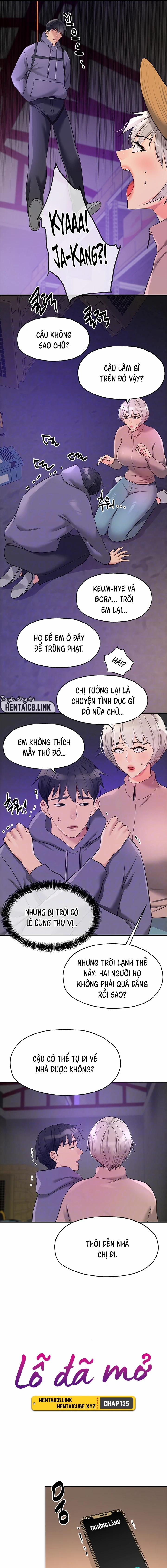 Lỗ đã mở 135 trang 3