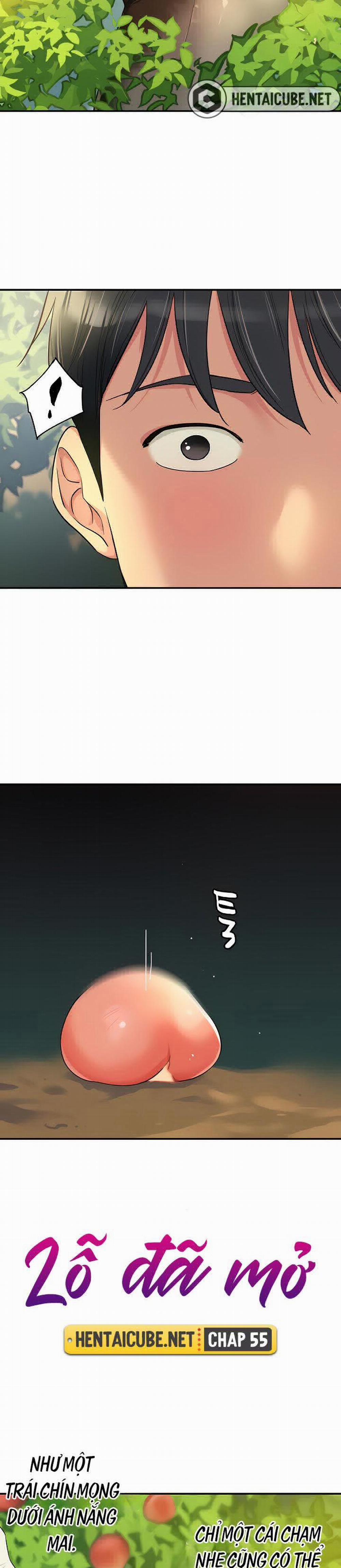 Lỗ đã mở 55 trang 11