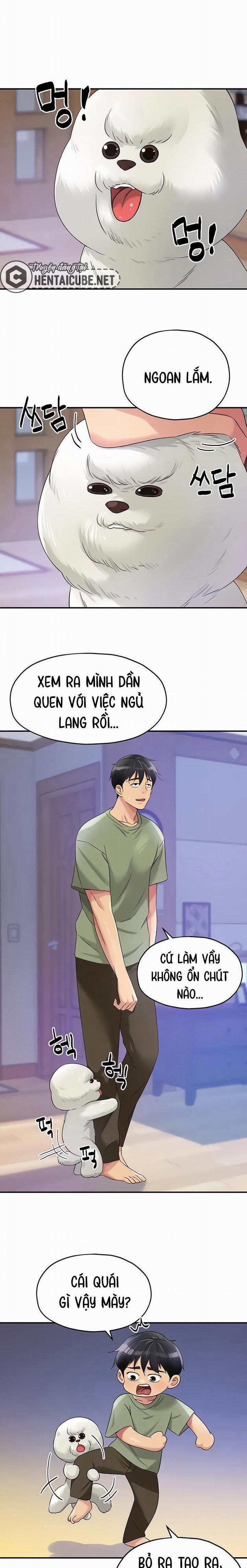 Lỗ đã mở 65 trang 1