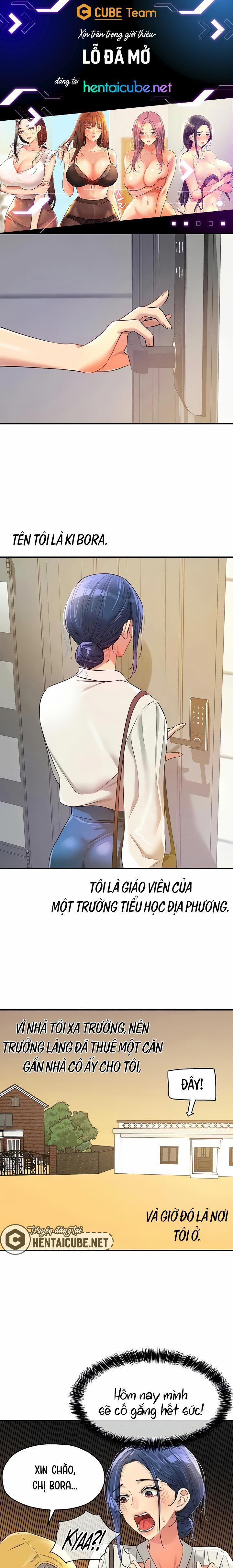 Lỗ đã mở 81 trang 1