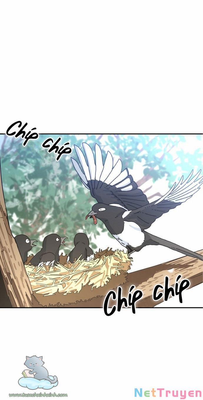 Lớ Ngớ Vớ Phải Tình Yêu 1 trang 2