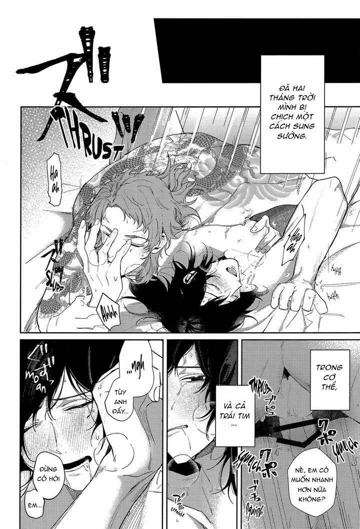 Lỗ tầy quầy 13 trang 11